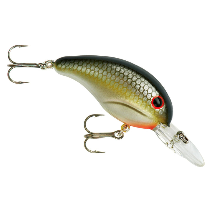 200 Series_LA Shad