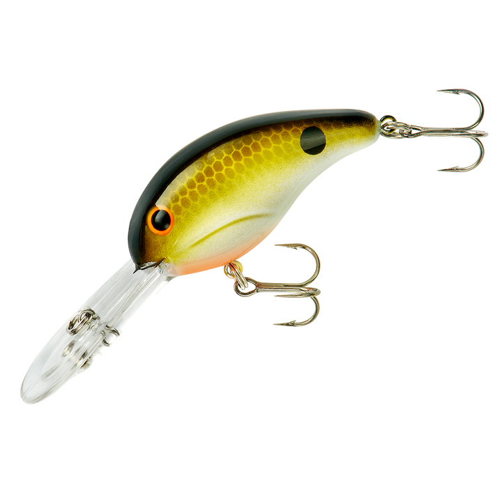 300 Series_Tennessee Shad