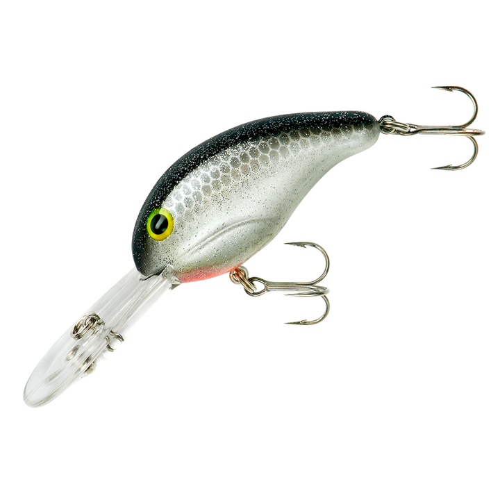 300 Series_Silver Minnow Sparkle