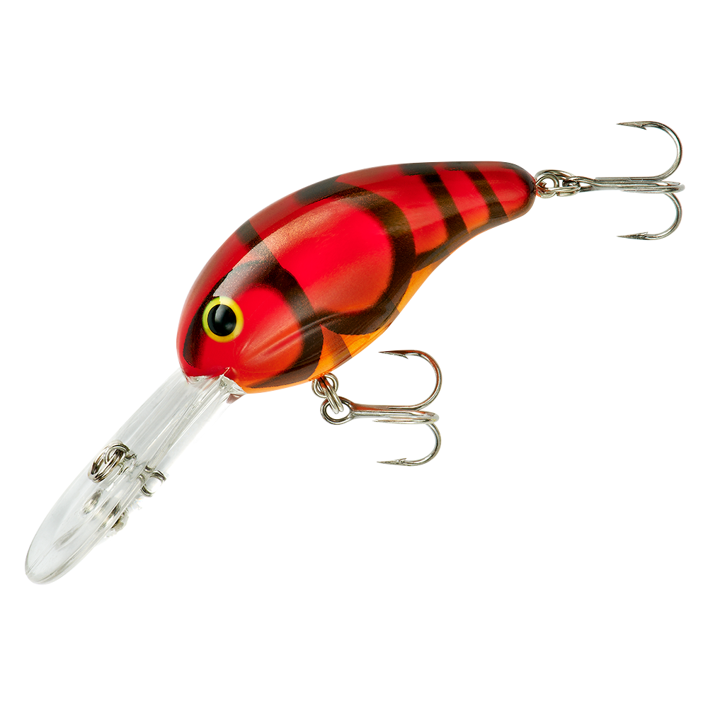bandit 300 fishing lures Crankbait Series 100 200 & Bass Lures, Silver Minnow, Series 100 (Dives to 5') (BDT176) : Fishing Topwater Lures And Crankbaits : Sports & Outdoors and they have the ability to steal you a tournament win anytime Bandit 300-WILD THING