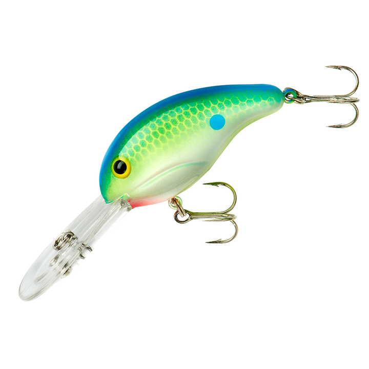 300 Series_Citrus Shad