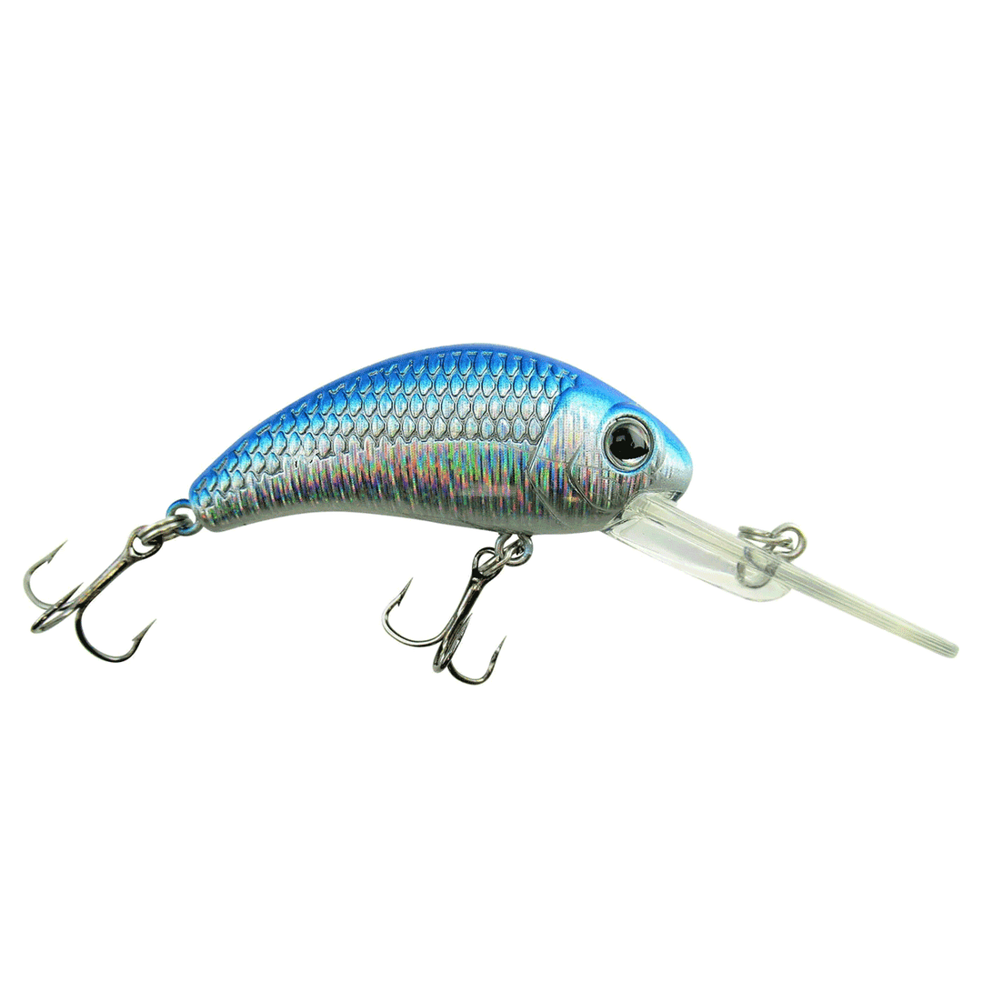 Walley Nation Boogie Shad