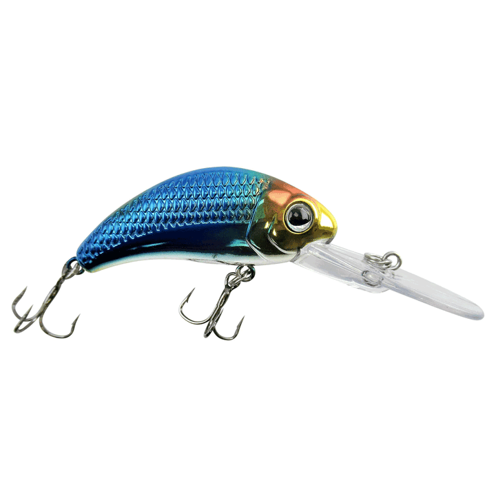 Walley Nation Boogie Shad