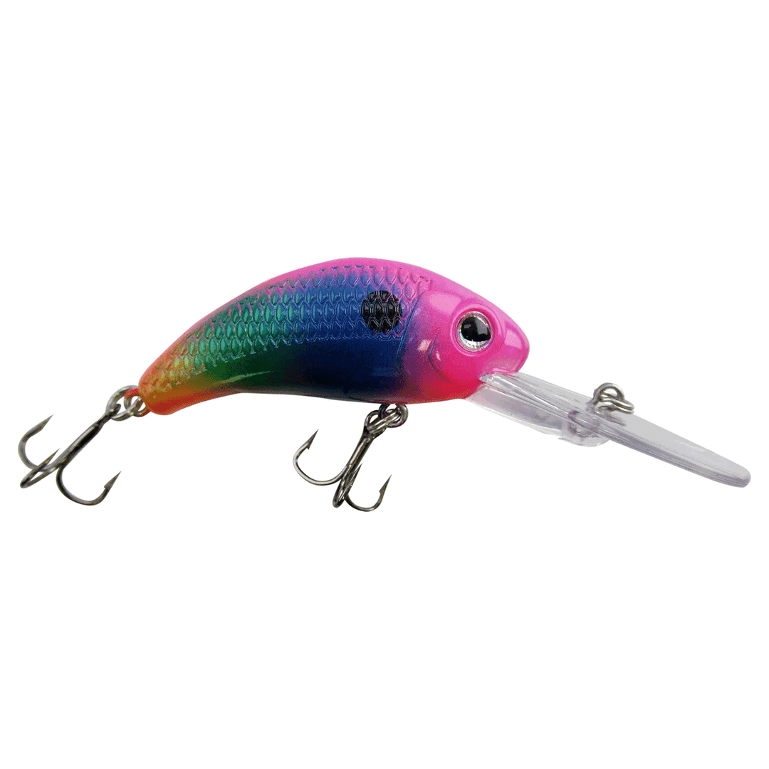 Walley Nation Boogie Shad