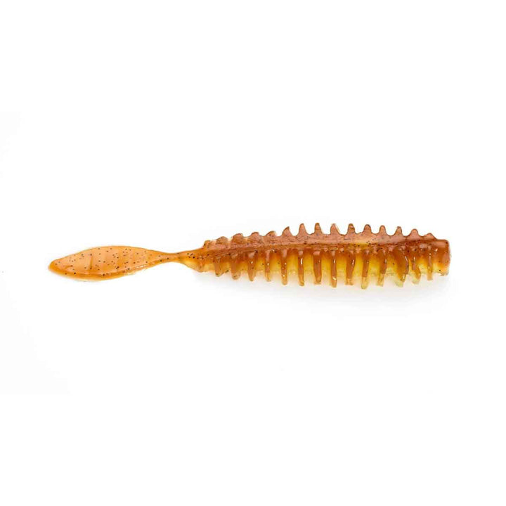 Poor Boys Baits Erie Darter