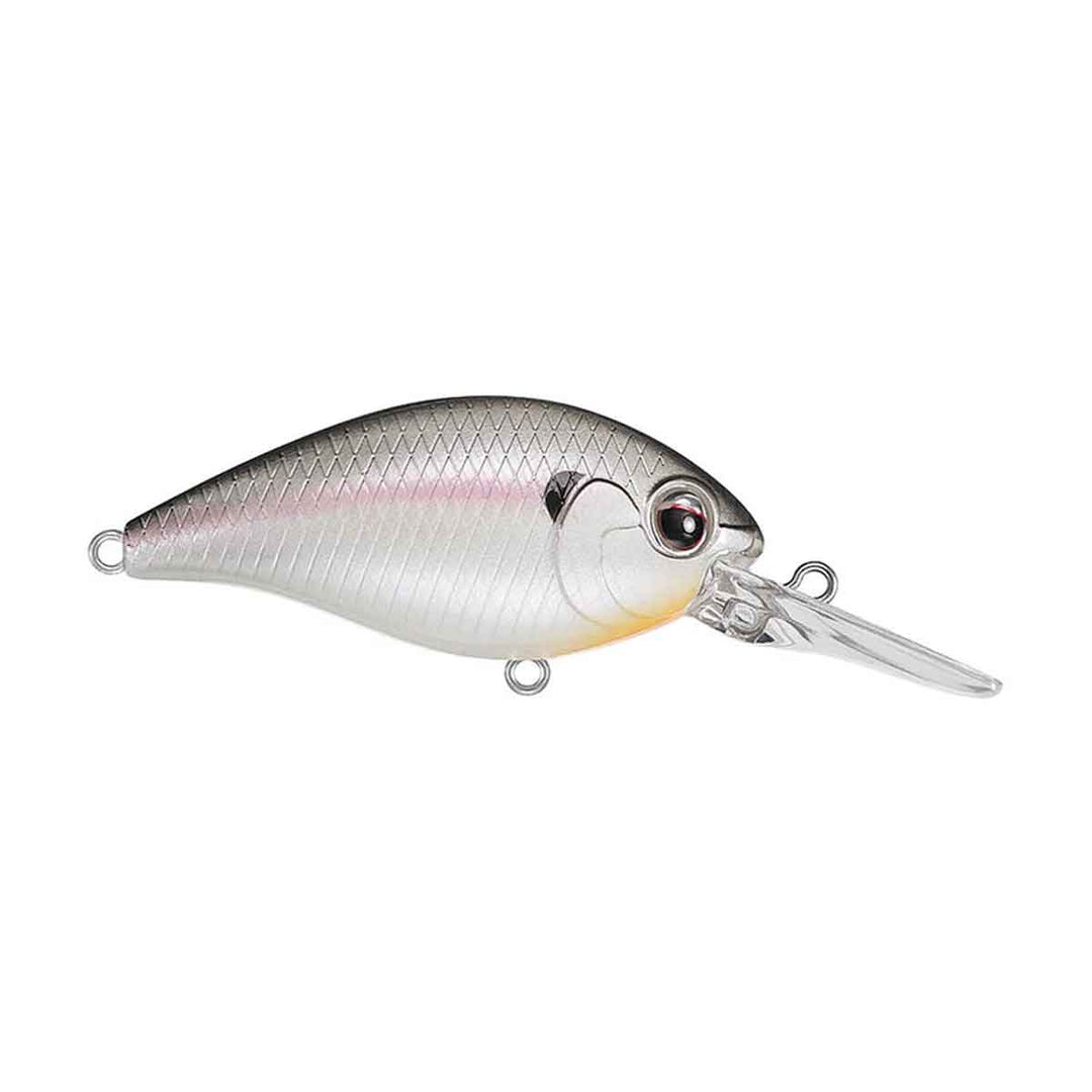 Ever Green CR-6 Crankbait