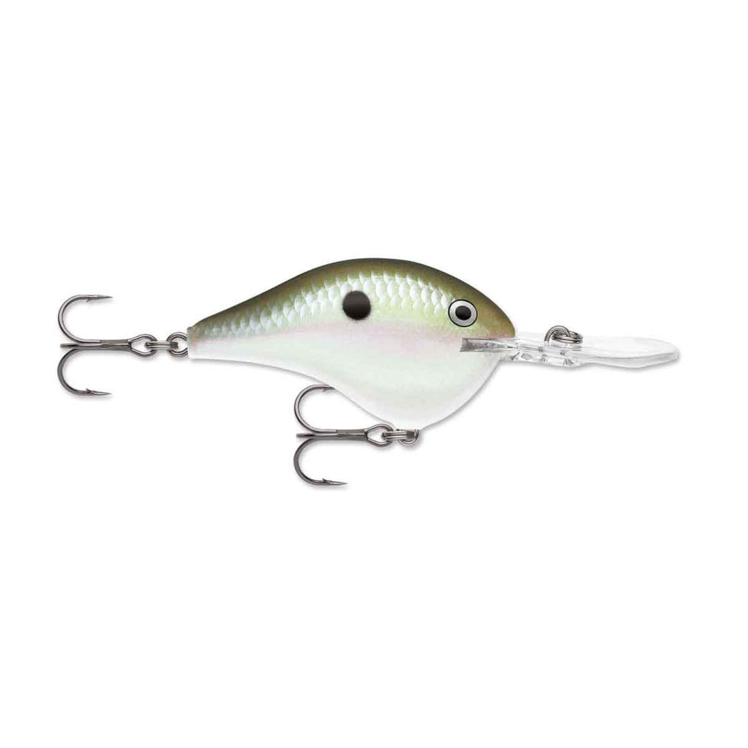 Dives-To_Green Gizzard Shad