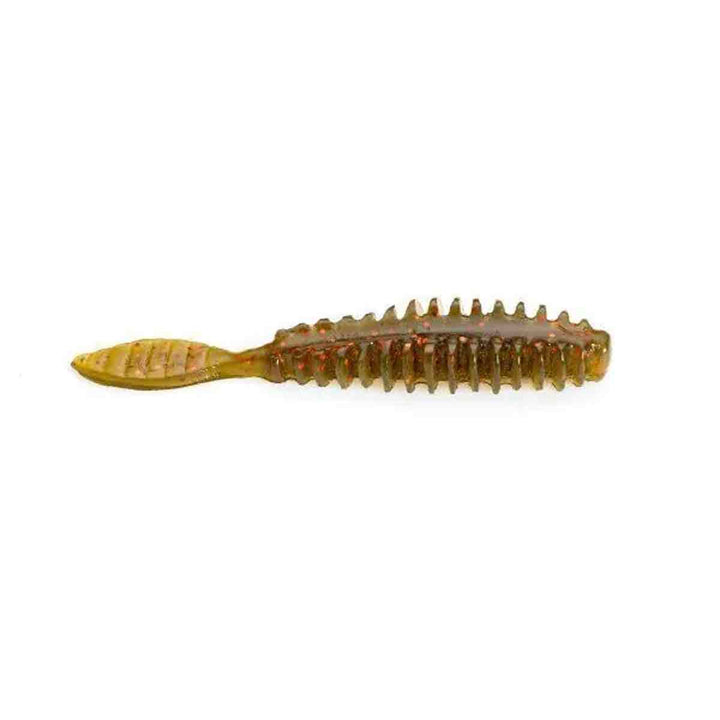 Poor Boys Baits Erie Darter