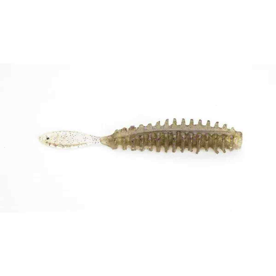 Poor Boys Baits Erie Darter
