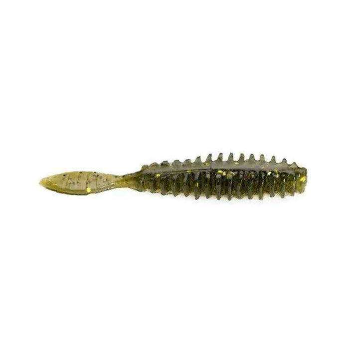 Poor Boys Baits Erie Darter