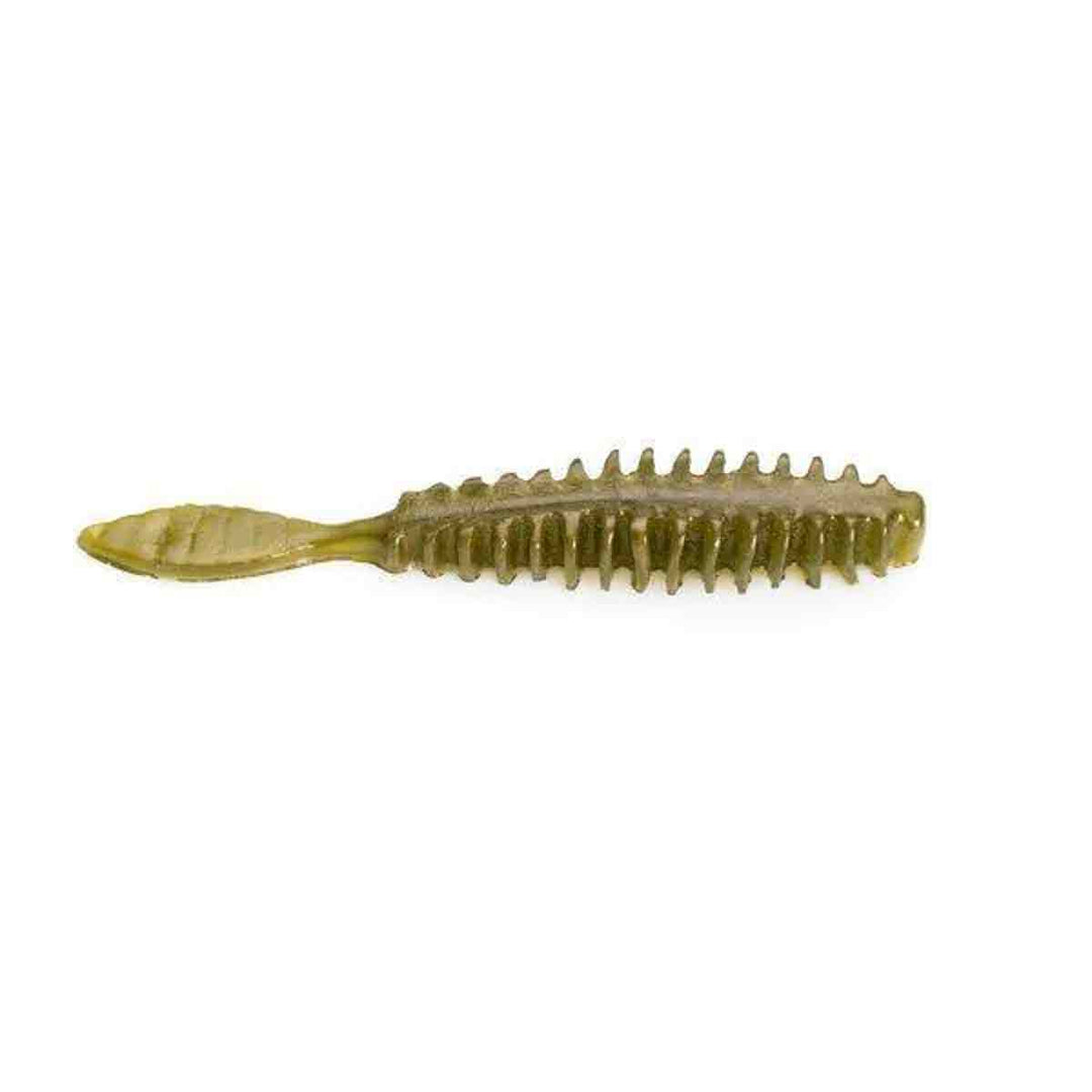 Poor Boys Baits Erie Darter