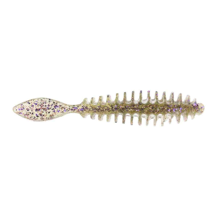 Poor Boys Baits Erie Darter