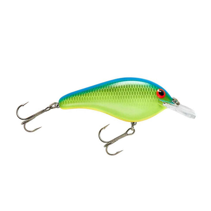 Flat Maxx Shallow_Chartreuse Blue Back