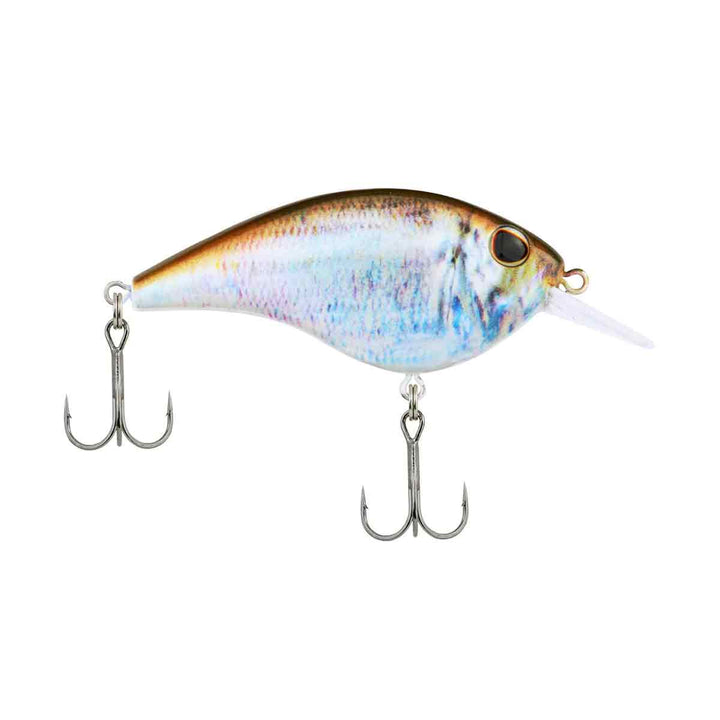 Frittside HD Jr_HD Blueback Herring Jr.