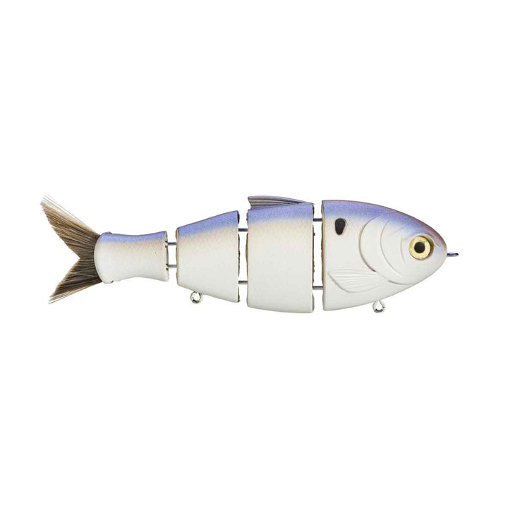 Bucca Bull Shad*