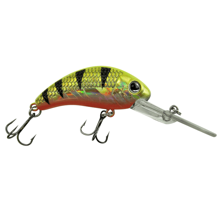 Walley Nation Boogie Shad