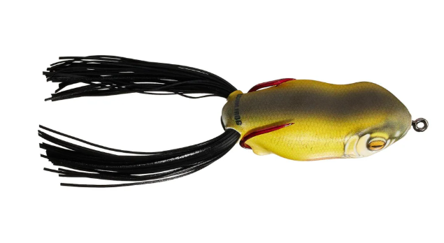 Scum Frog Launch Frog