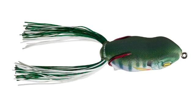 Scum Frog Launch Frog