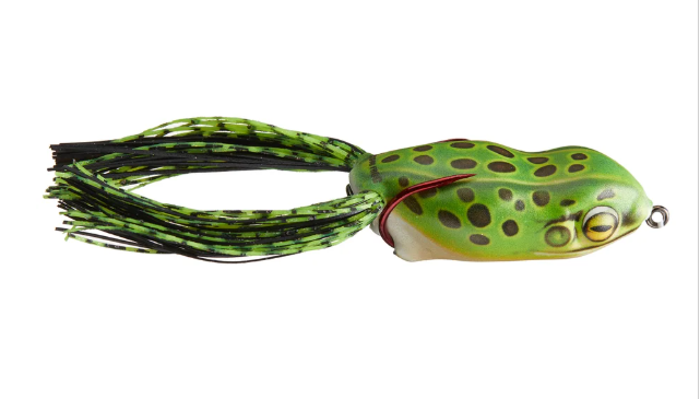 Scum Frog Launch Frog