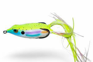 Gambler Walking Frog