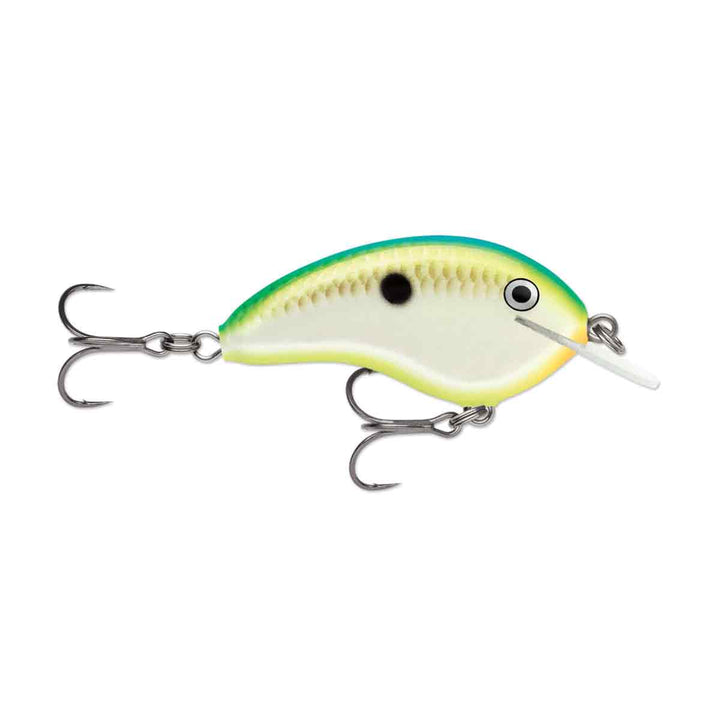 Ott's Garage Tiny_Citrus Shad