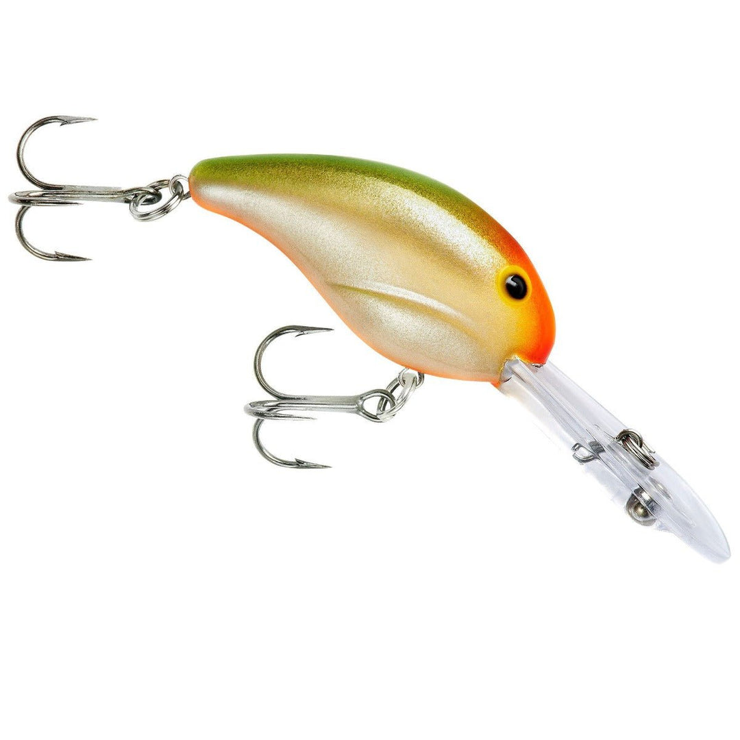 200 Series_Parrot Orange