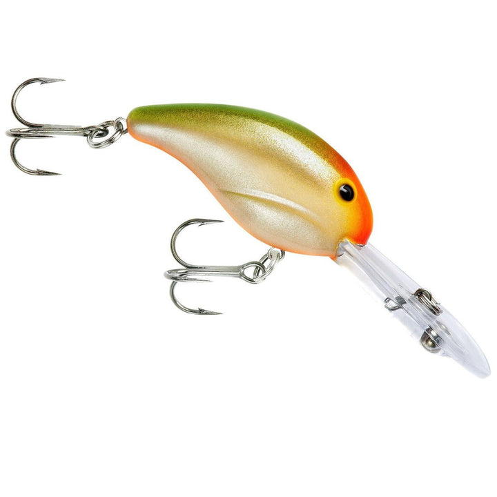 200 Series_Parrot Orange