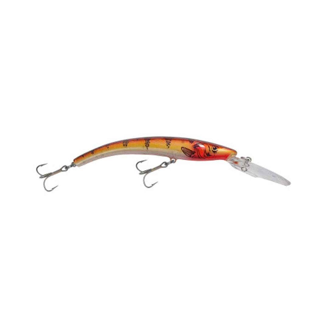 Reef Runner Deep Diver 800 Series