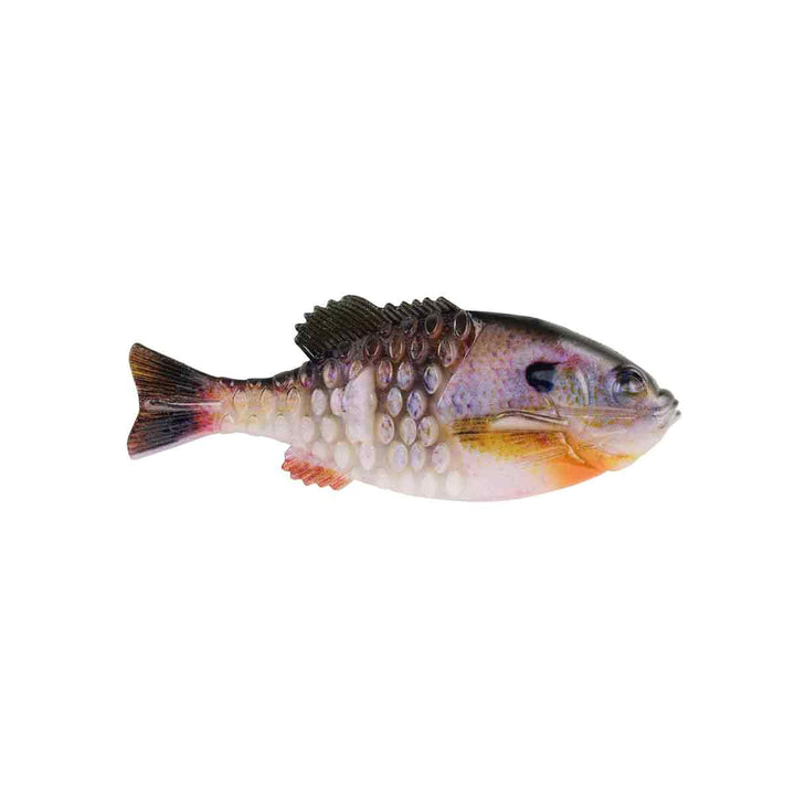 PB Gilly_HD Bluegill