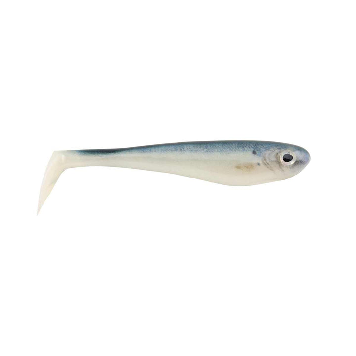 PB Hollow Belly_HD Blueback Herring*