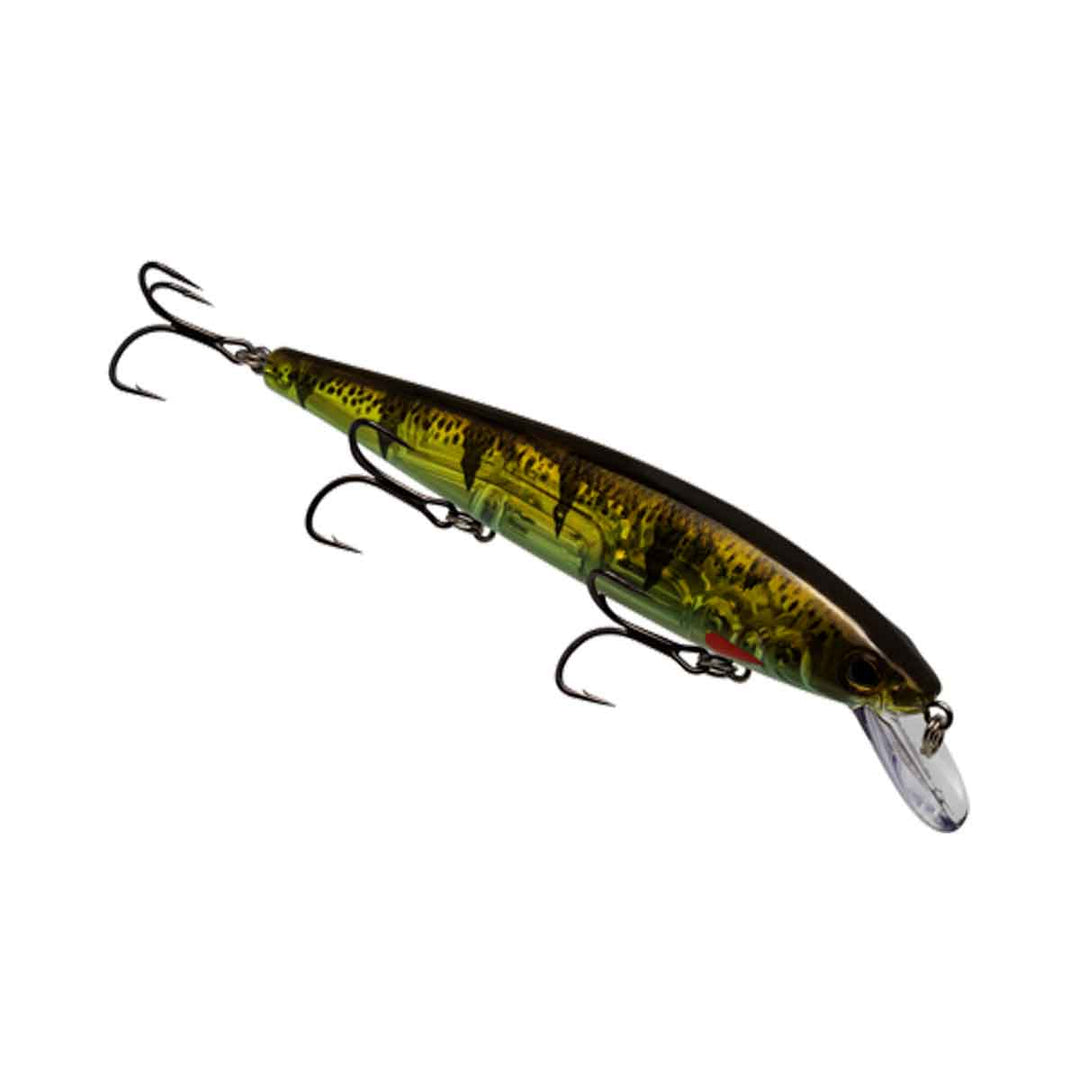 Strike King KVD Elite Jerkbait