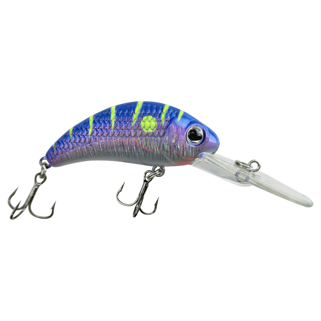 Walley Nation Boogie Shad