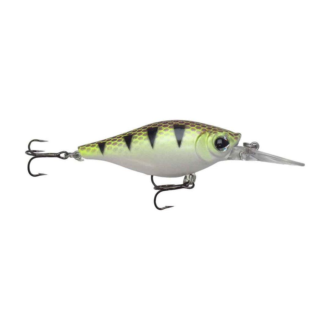 Walleye Nation Shaky Shad