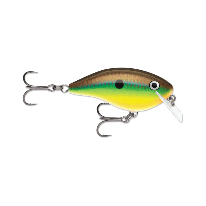 Rapala Ott's Garage Big Rocco 6