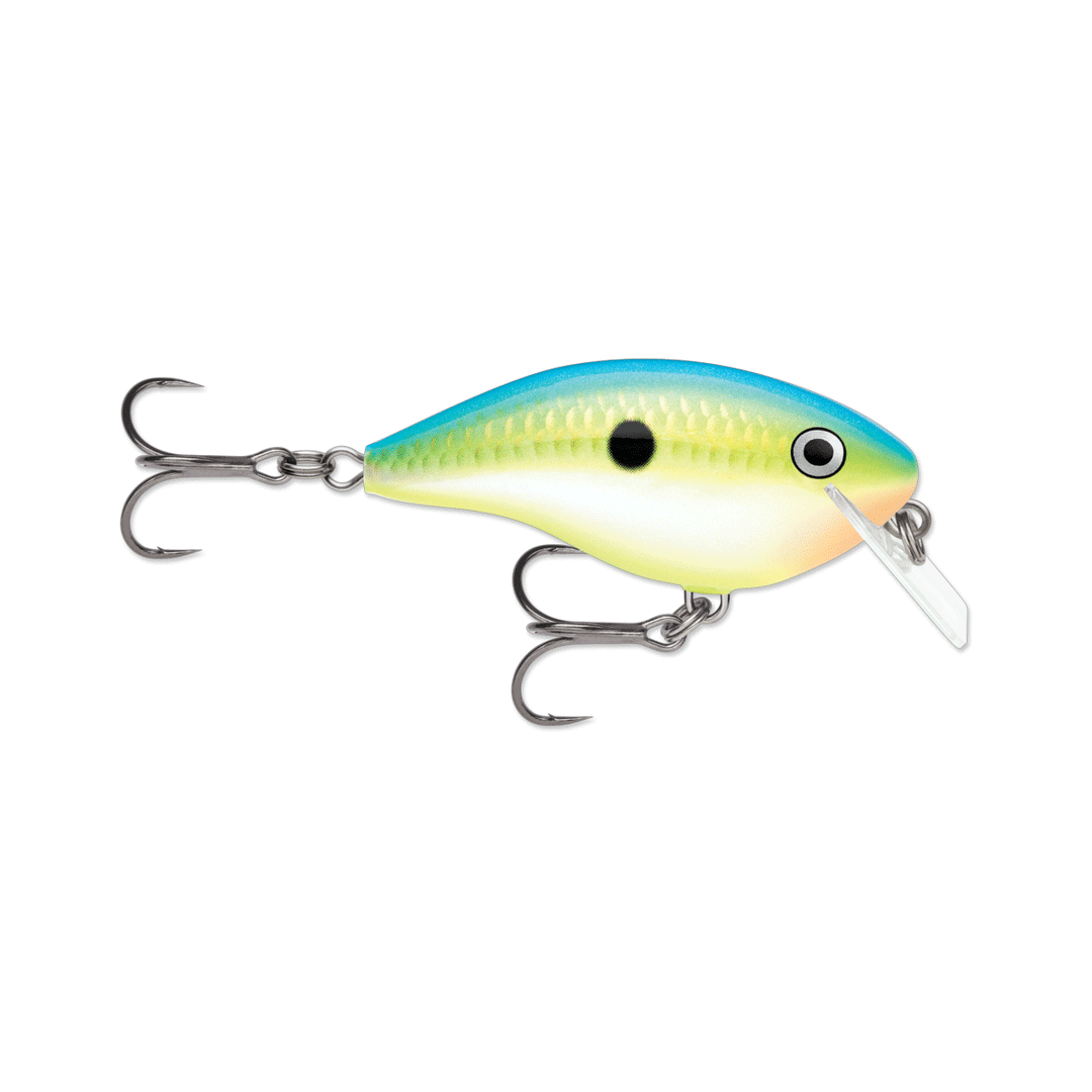 Rapala Ott's Garage Big Rocco 6