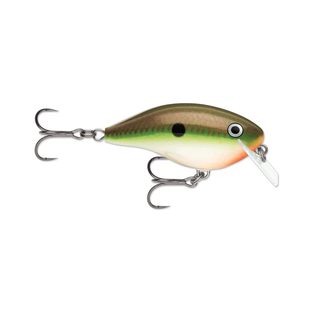 Rapala Ott's Garage Big Rocco 6