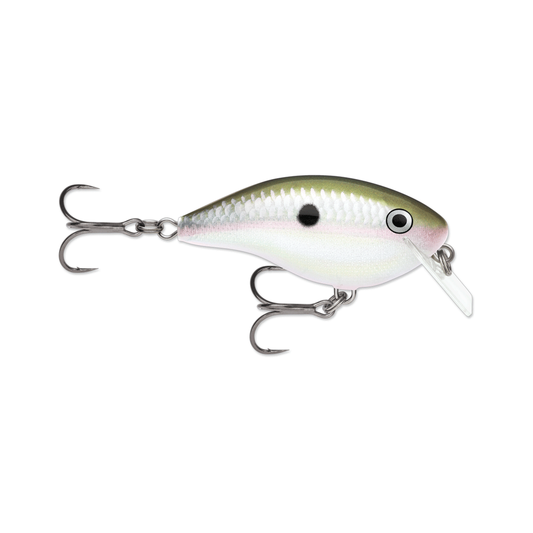 Rapala Ott's Garage Big Rocco 6