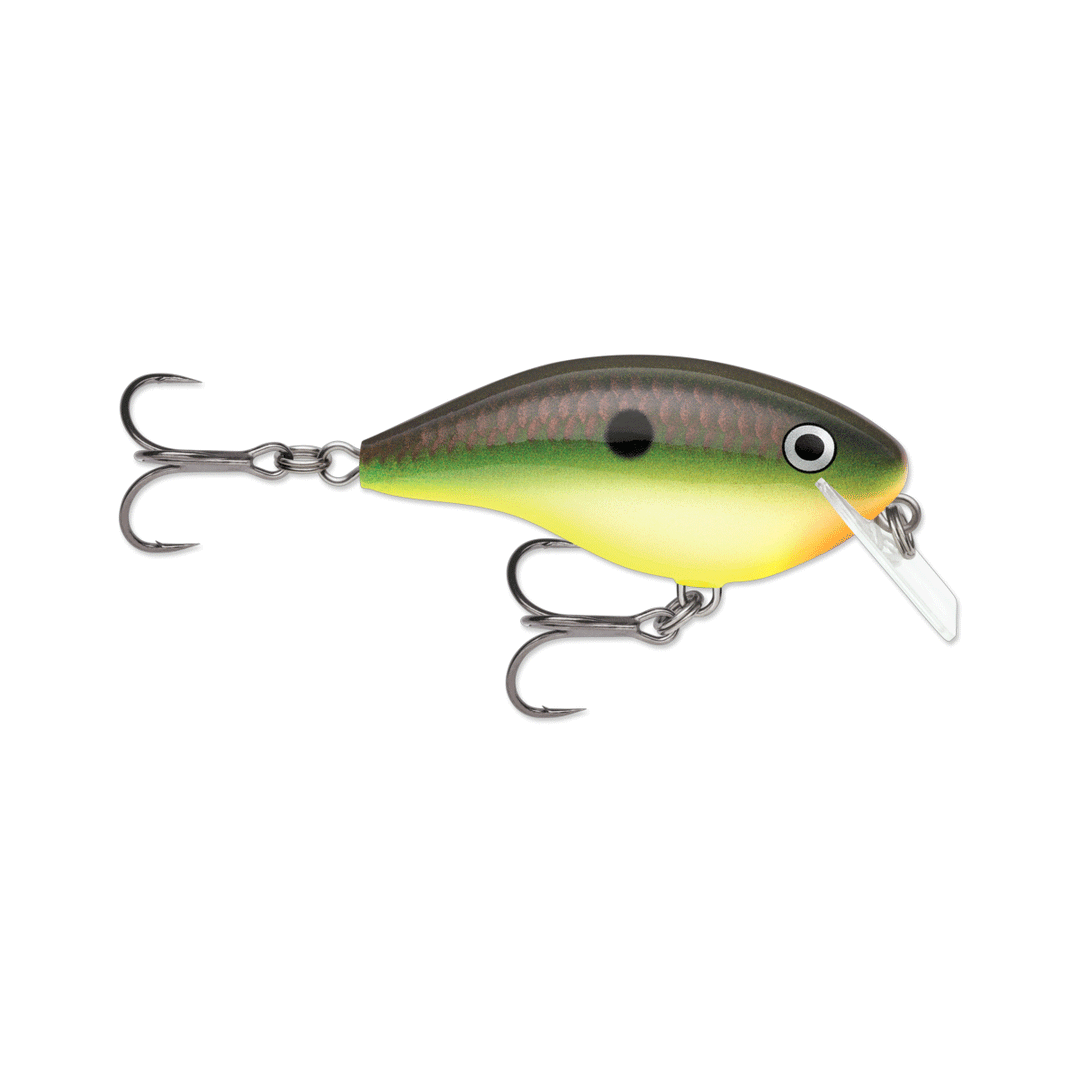 Rapala Ott's Garage Big Rocco 6