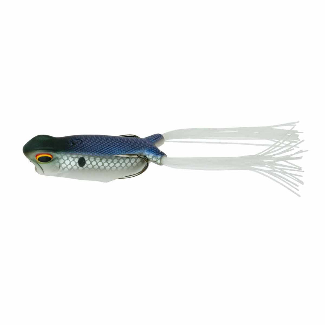 Vega Frog_Shad Spawn