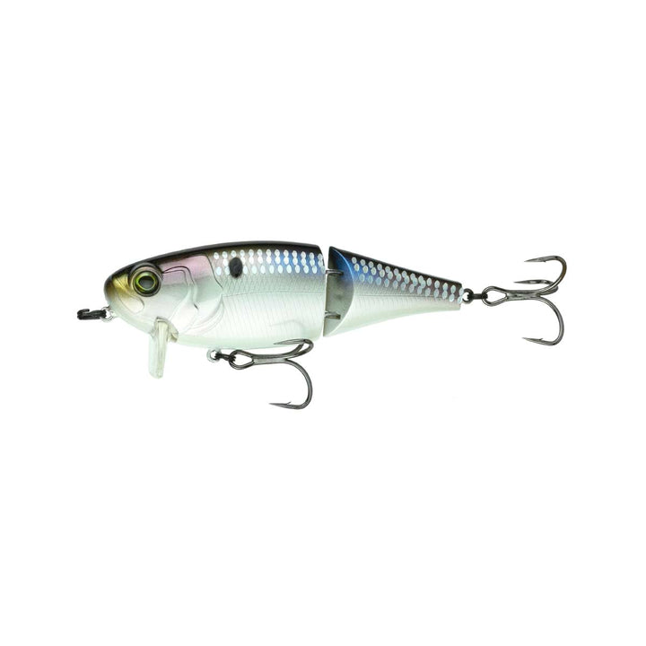 Speed Wake_Shad Scales