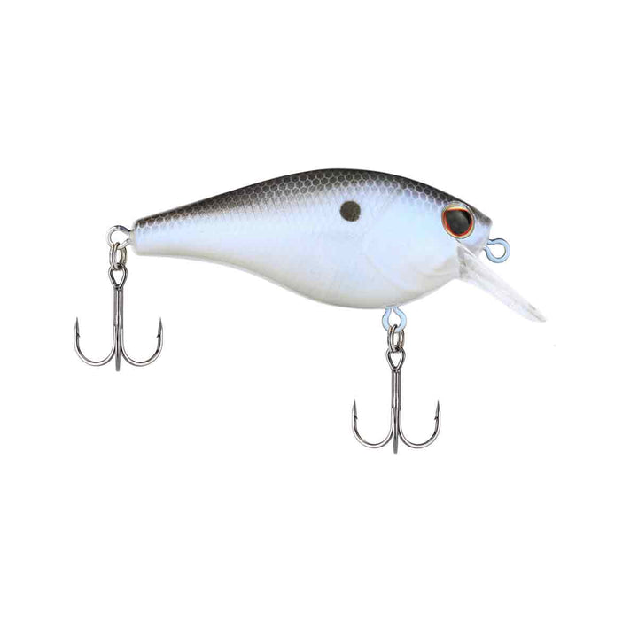 Squarebull_Blue Shad