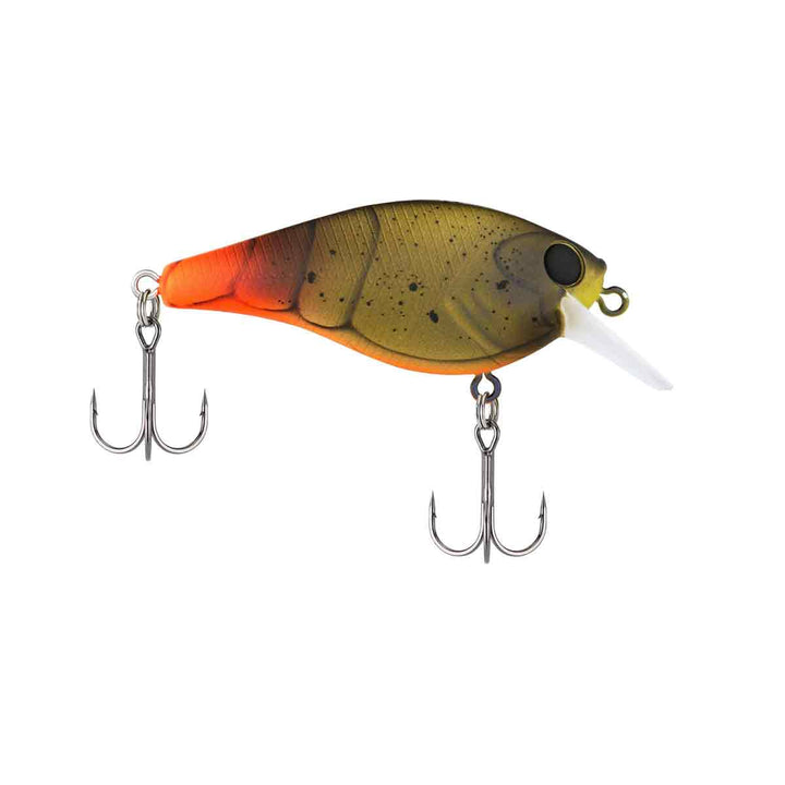 Squarebull_Firetail Green Craw