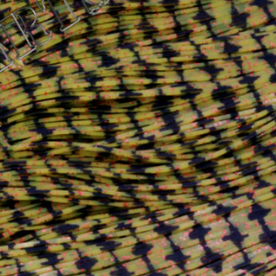 Skirts Unlimited Barb Wire Skirt