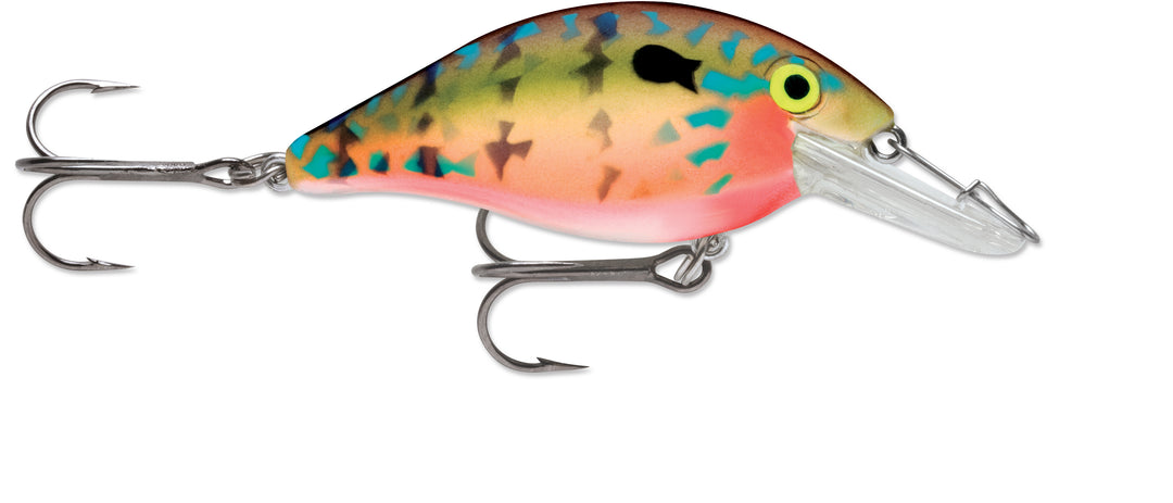 Breeding Bluegill