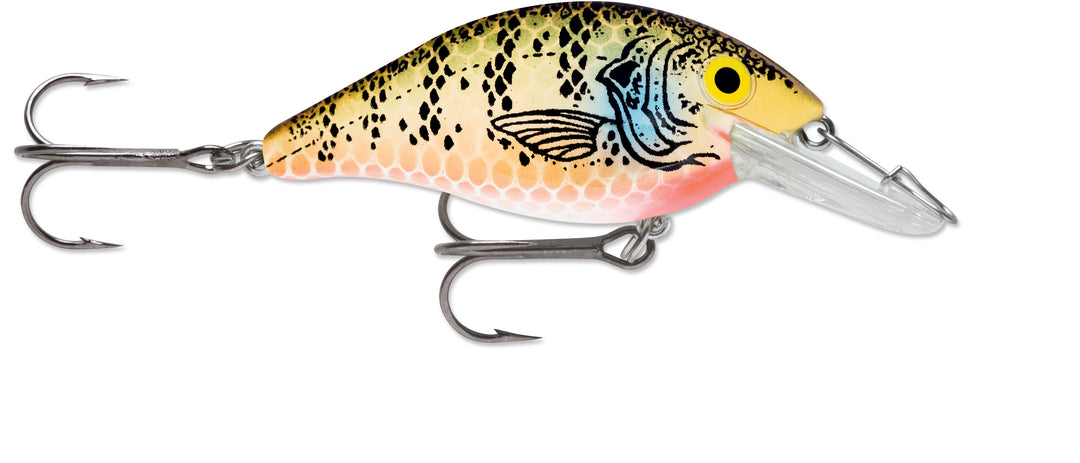 Bluegill Perch