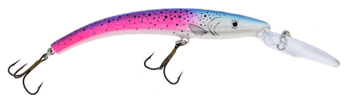 800 Series_Rainbow Trout