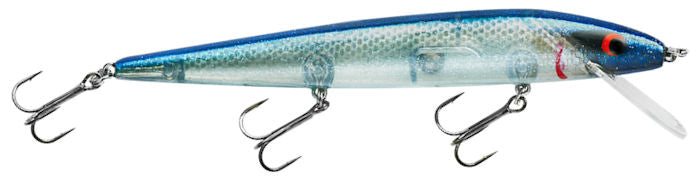 Smithwick Perfect 10 Rogue Blue Back Herring