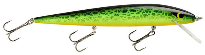 Smithwick Perfect 10 Rogue Lacy Tiger