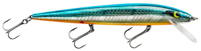 Perfect 10 Rogue_Chrome/Blue Back Orange Belly