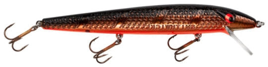 Susp. Super Rogue_Gold Rogue - Fishermans Central